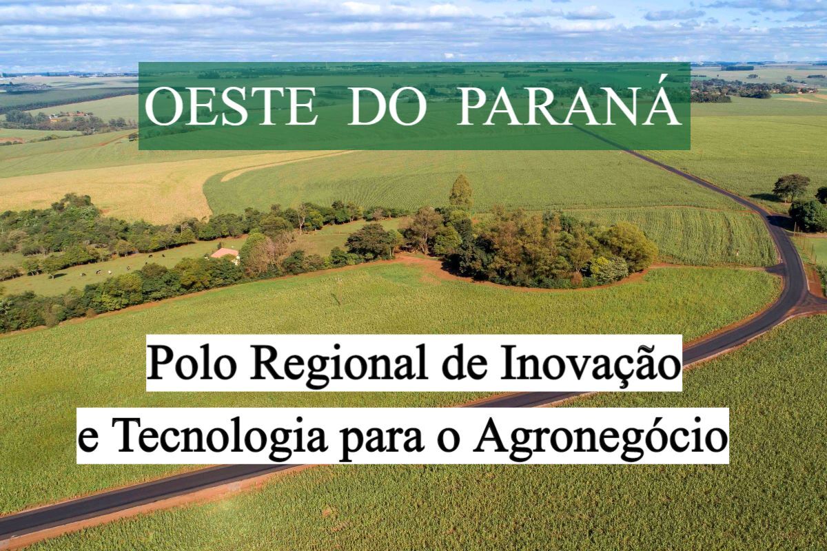 Sebrae explica o Polo Regional de Inovação no Agro, que será lançado em Toledo