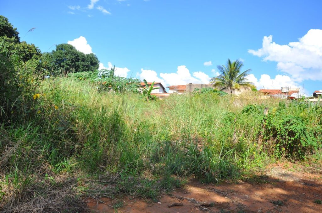 Prefeitura mapeia e fiscaliza terrenos particulares com mato alto em Maripá