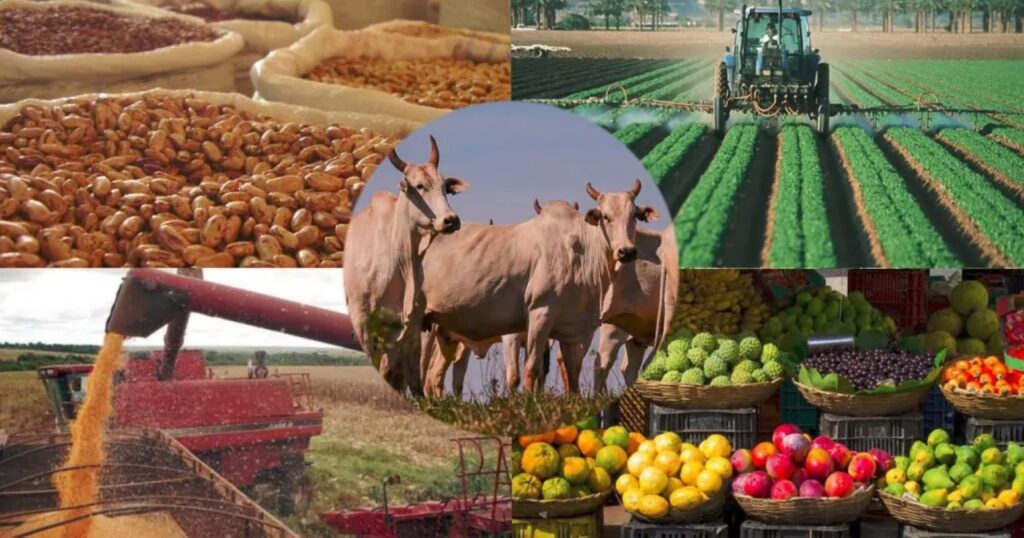 Ipea, Conab e Cepea apontam desaceleração nos preços dos principais produtos agropecuários brasileiros