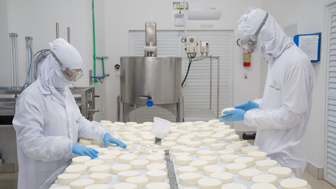 Projeto do Biopark leva técnicas de fabricação de queijos finos para pequenos produtores de leite e muda realidade de famílias