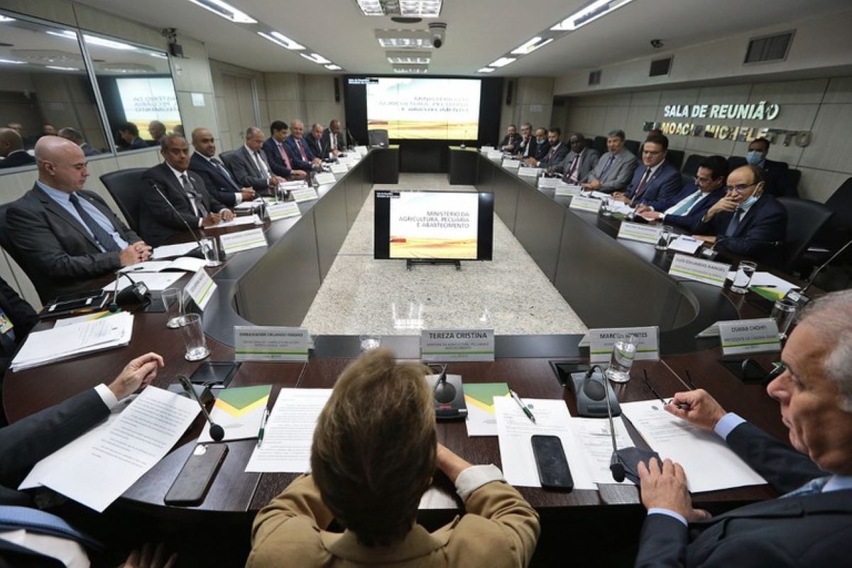 Ministra falará sobre sanções a fertilizantes em reunião na FAO