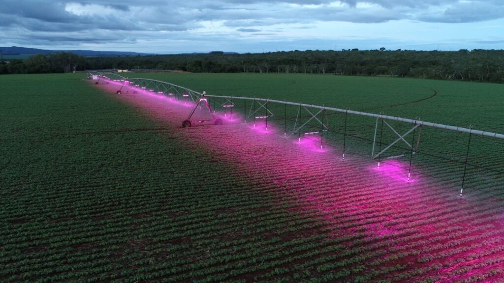 Suplementação luminosa gera salto de produtividade