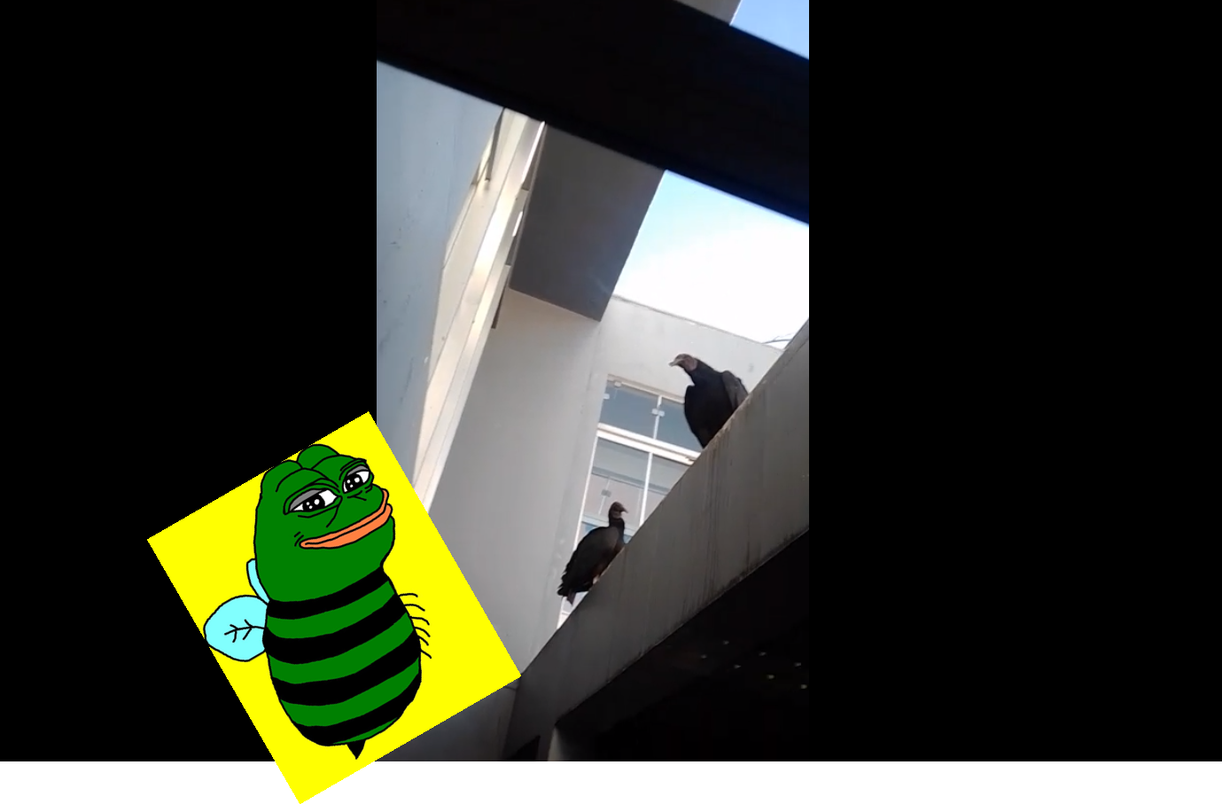 Falsos "Urubus" penetram sala do diretor da câmara de Toledo.